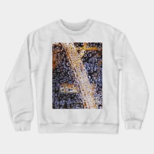 dew drops web in ithe morning Crewneck Sweatshirt